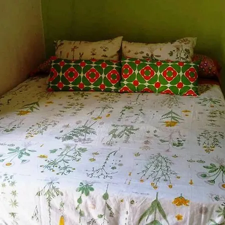 & Cozy Residencia De Estudiantes Guest house Barcelona