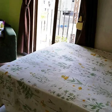 & Cozy Residencia De Estudiantes Guest house