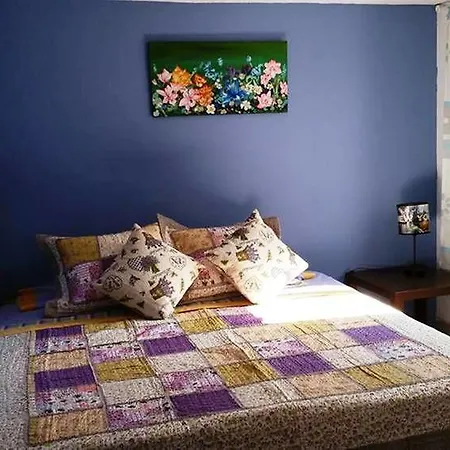 & Cozy Residencia De Estudiantes Guest house